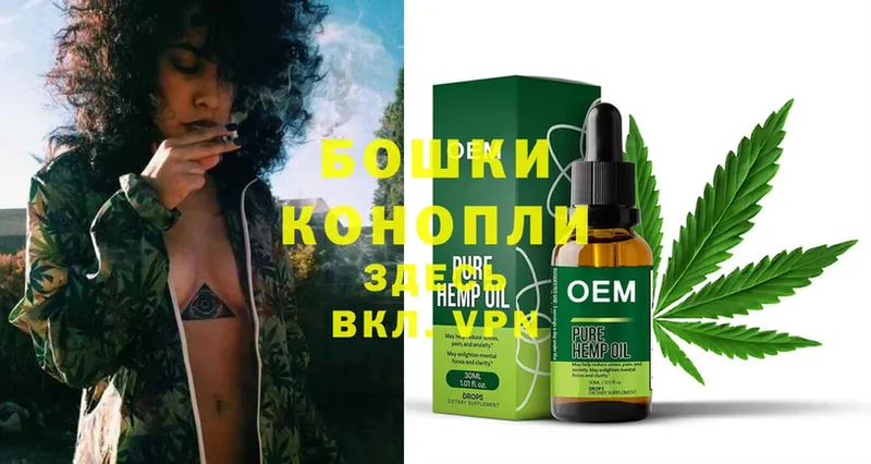 Бошки марихуана OG Kush  omg онион  Егорьевск  как найти  